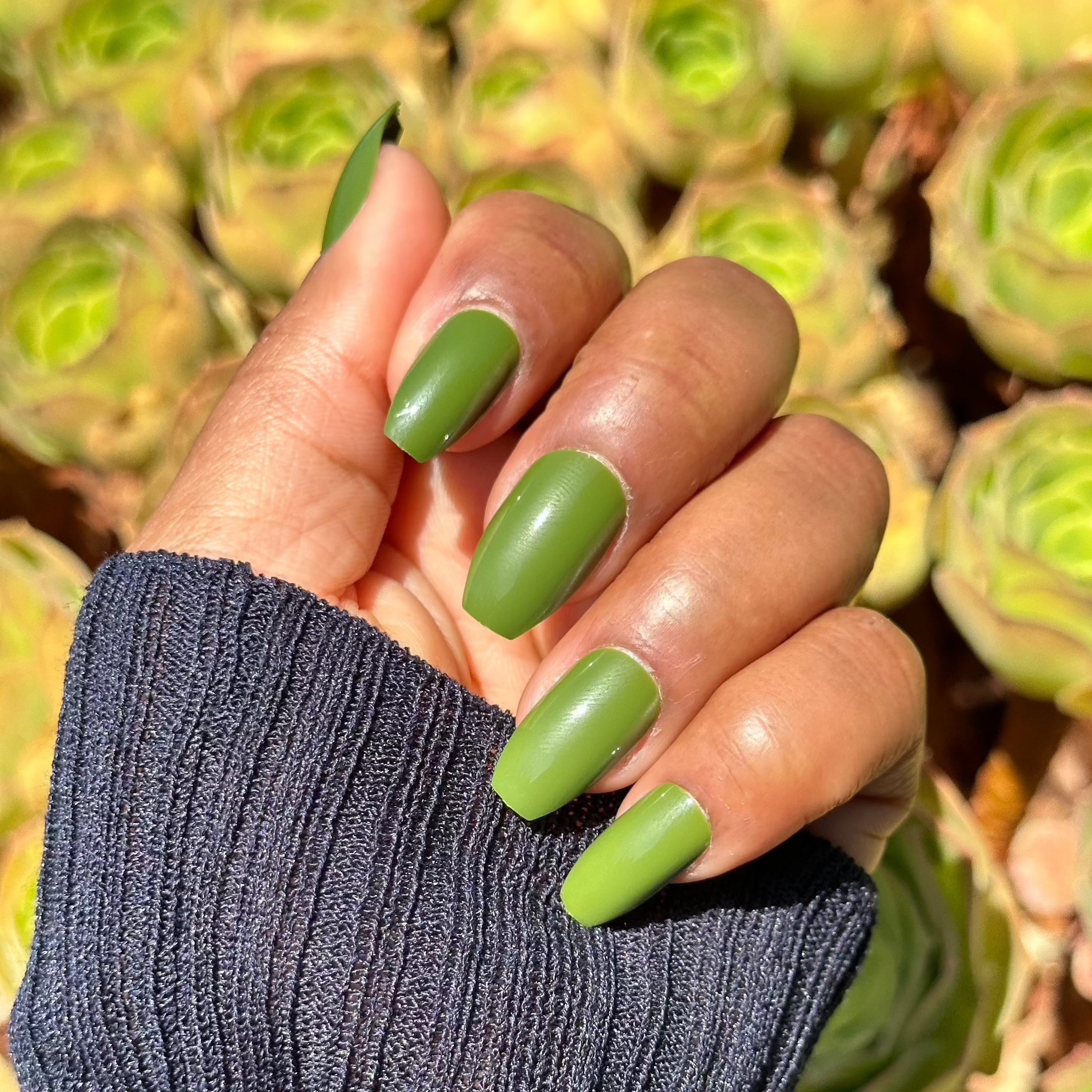 Hand with olive green nails, succulent background.