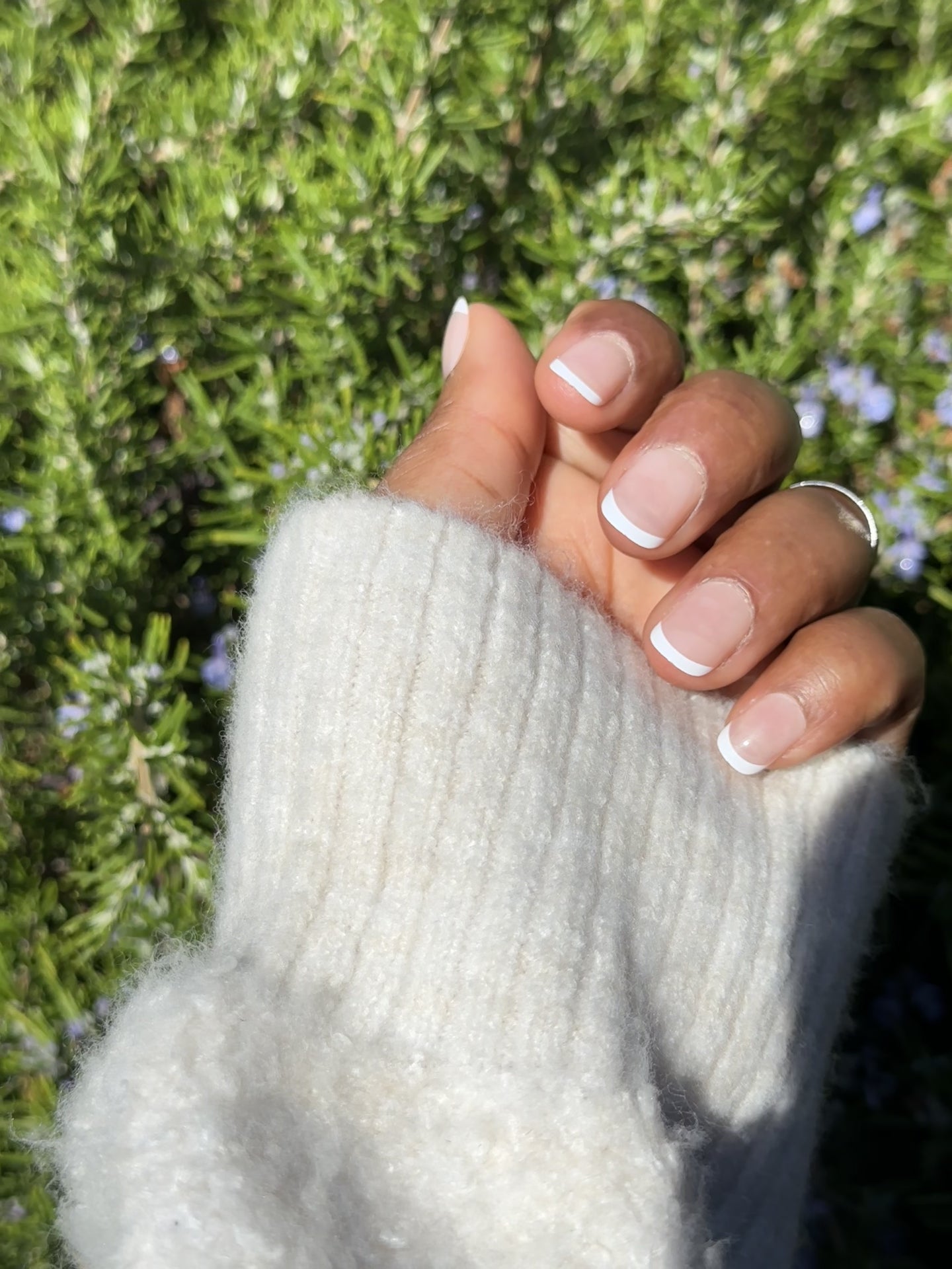 Close-up of French manicure press-on nails outdoors